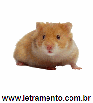 Letramento Hamster Animal Com a Letra H