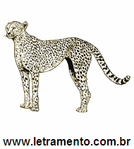 Letramento Leopardo Animal Com a Letra L