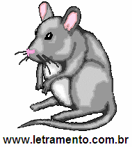 Letramento Rato Animal Com a Letra R