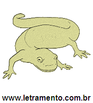Letramento Salamandra Animal Com a Letra S