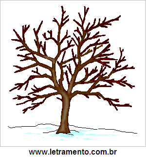 Árvore Sem Folhas