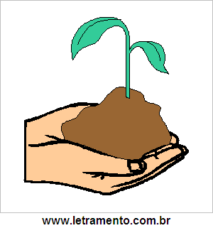 Plantar Uma Árvore