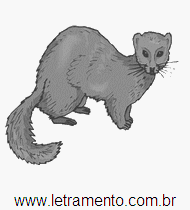 Doninha