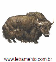 Iaque