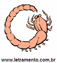 Letramento Escorpião Animal Com a Letra E