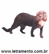 Letramento Irara Animal Com a Letra i