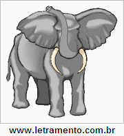 Elefante