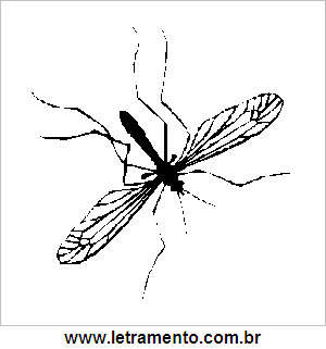 Mosquito da Dengue