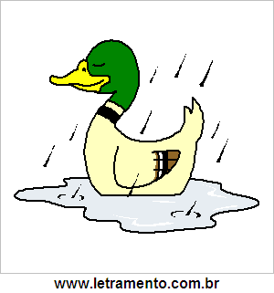 Pato