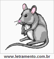 Rato