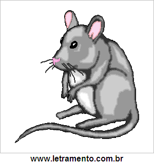 Rato