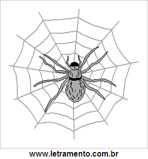 Teia de Aranha