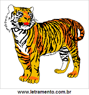 Tigre