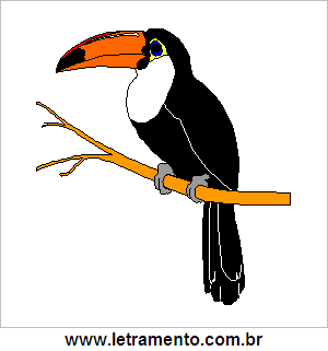 Tucano