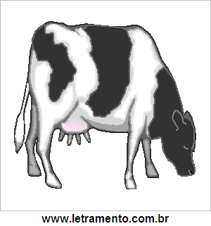 Vaca