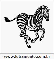 Zebra