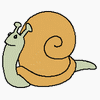 Caracol