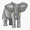 Elefante