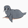 Foca