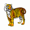 Tigre